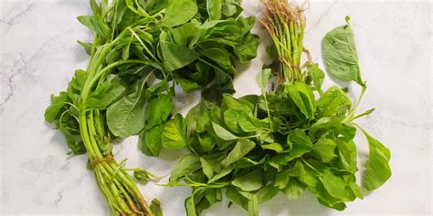 daun bayam