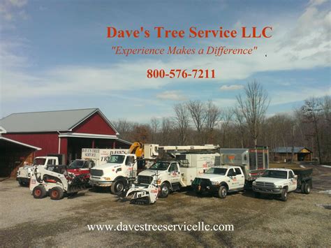 dave's tree service reviews