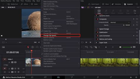 davinci resolve change size of clip
