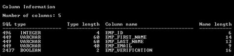 db2 describe table example
