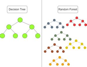 Decision Trees Forming a Forest