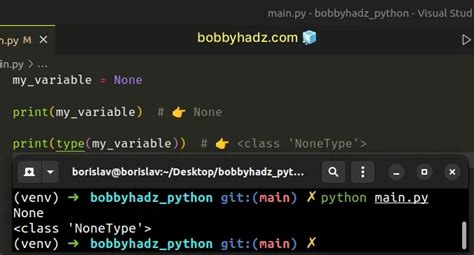 declare variable python without value