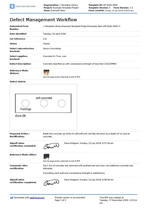 defect report example