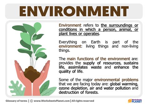 define environment in environmental science
