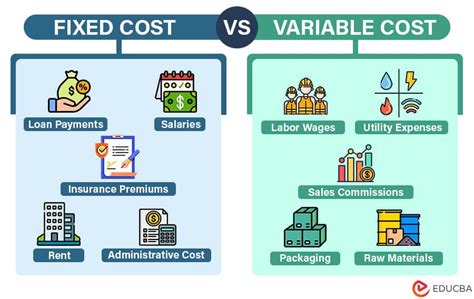 define fixed and variable costs and give an example of each