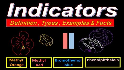 define indicator class 7