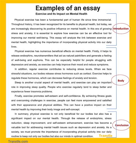 define introduction body and conclusion