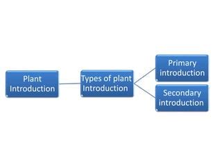 define primary introduction in plant breeding