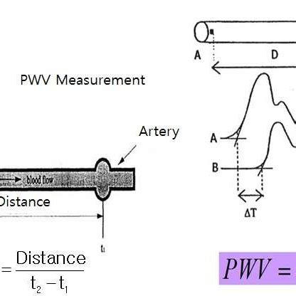 define pulse wave velocity