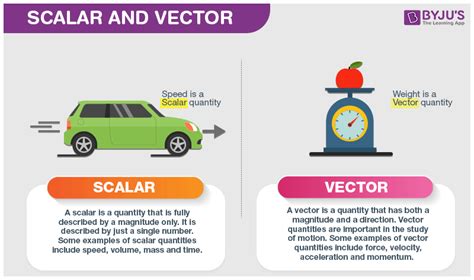 define scalar and vector quantity class 9