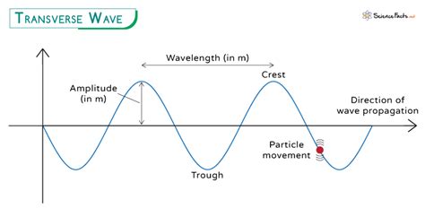 define transverse wave with example