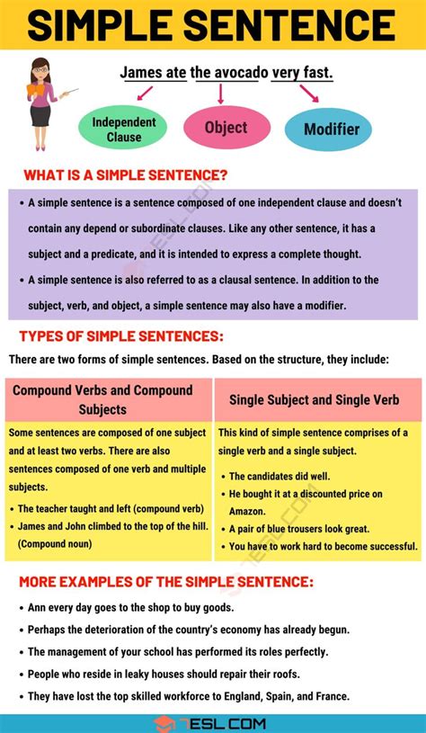 definition and examples sentences