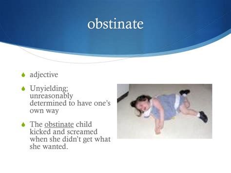 definition of obstinate behavior