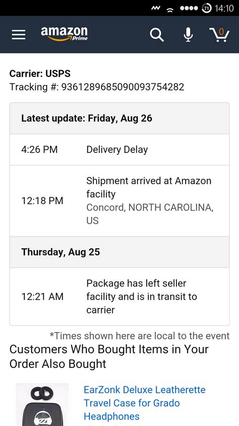 delay order meaning