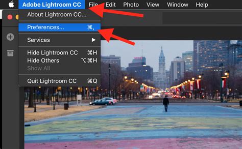 delete multiple presets lightroom cc