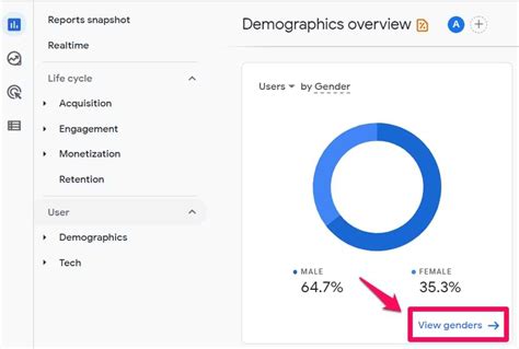 demographics in google analytics