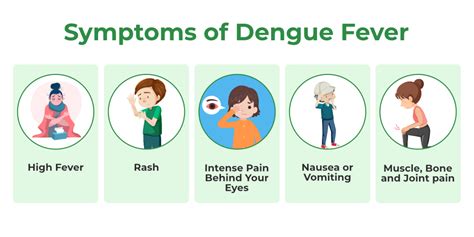 Demam Dengue (DF)
