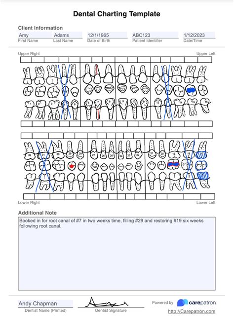 Dental Chart Example
