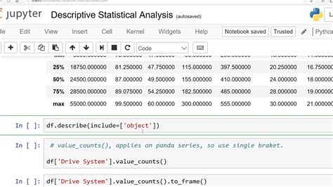 describe data in python