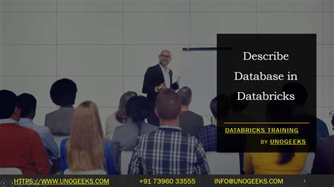describe database in databricks