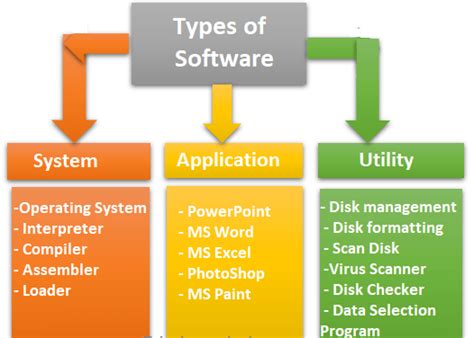 describe different types of software with examples