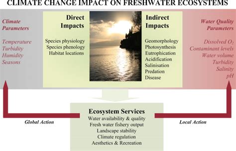 describe examples of direct and indirect ecosystem services
