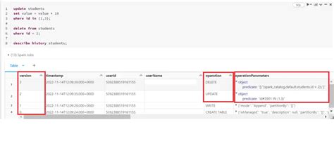 describe view in databricks