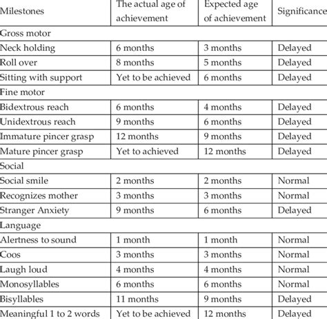 developmental history example