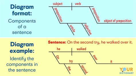 diagram examples in sentence
