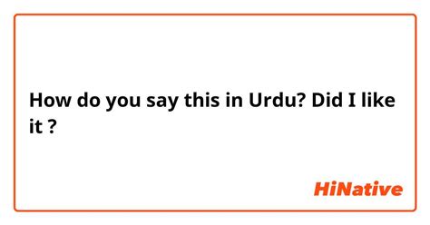 did you like meaning in urdu