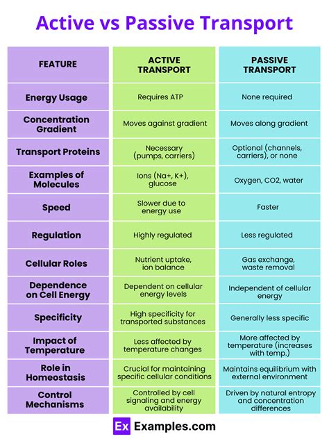 difference between active and passive transport with examples class 9