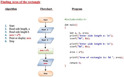 difference between algorithm and flowchart in c programming pdf