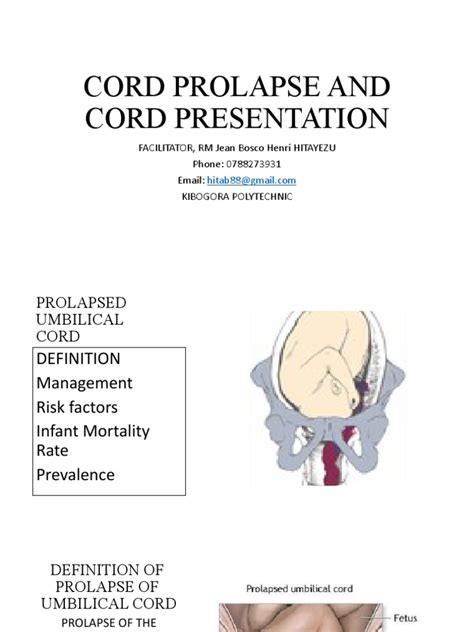 difference between cord prolapse and cord presentation pdf