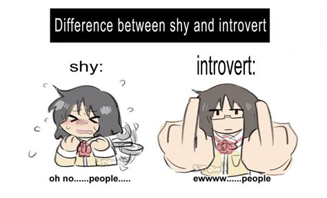 difference between introvert and shy
