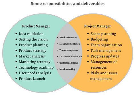 difference between project manager and program sponsor