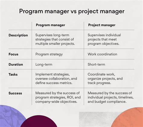 difference between project manager vs program manager
