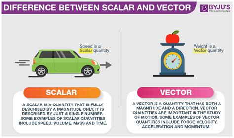 difference between scalar and vector quantity example in real life