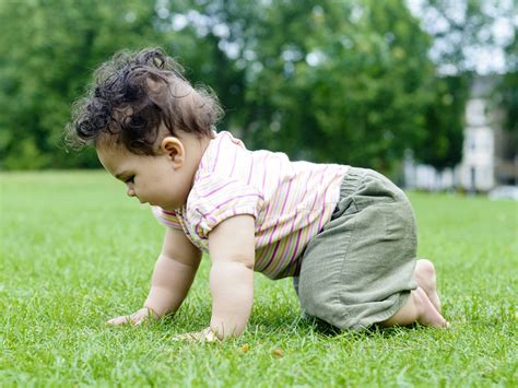 difference between scooting and crawling