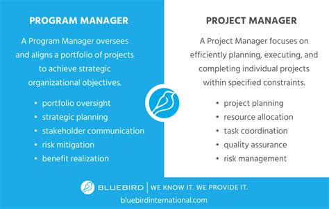 difference between senior project manager and program manager