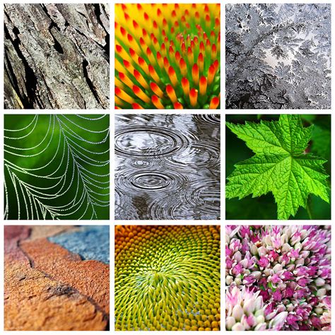 different kinds of patterns in nature