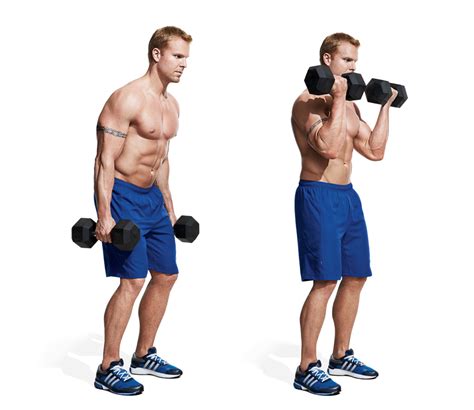 different types of bicep curls with dumbbells