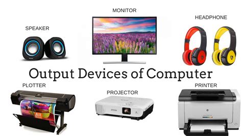 different types of input and output devices with examples