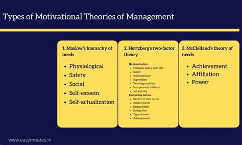 different types of motivation in management
