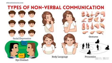 different types of non verbal communication with examples