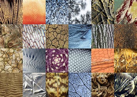 different types of patterns found in nature