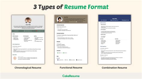 different types of resume examples