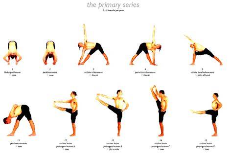 Different Yoga Poses