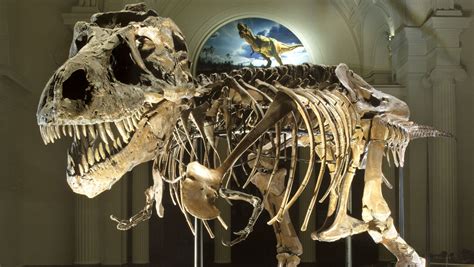 Fosil dinosaurus
