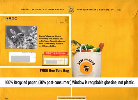 direct mail design examples