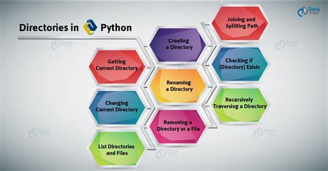 directory definition in python